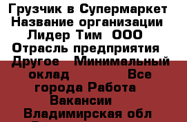 Грузчик в Супермаркет › Название организации ­ Лидер Тим, ООО › Отрасль предприятия ­ Другое › Минимальный оклад ­ 19 000 - Все города Работа » Вакансии   . Владимирская обл.,Вязниковский р-н